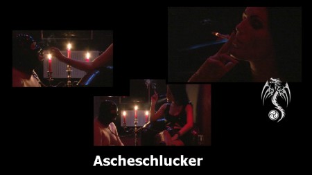 Ascheschlucker - Because you want the movies to go straight to the toilet and sees a lady with her slave. He kneels in front of you and you used him as an ashtray and blow him to the dense smoke, because I have a short hand brought the cam and recorded everything.